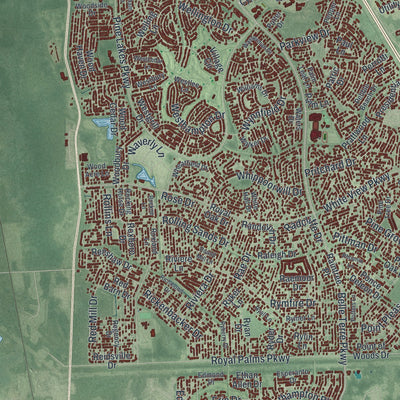 Close-up 1 of the Palm Coast, Florida map artwork