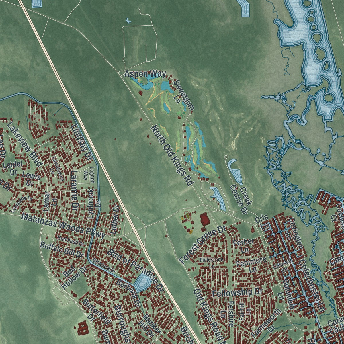 Close-up 2 of the Palm Coast, Florida map artwork