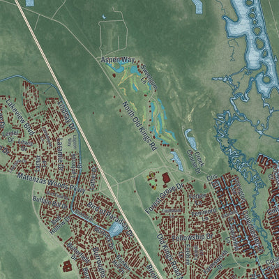 Close-up 2 of the Palm Coast, Florida map artwork