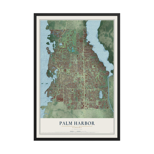 Map of Palm Harbor, Florida, 12 x 18 inch print in a black wood frame