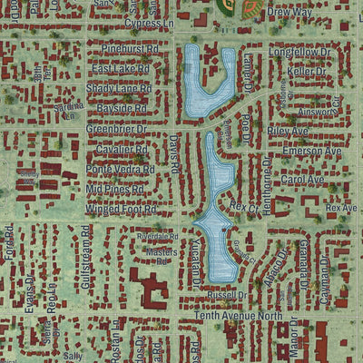 Close-up 1 of the Palm Springs, Florida map artwork