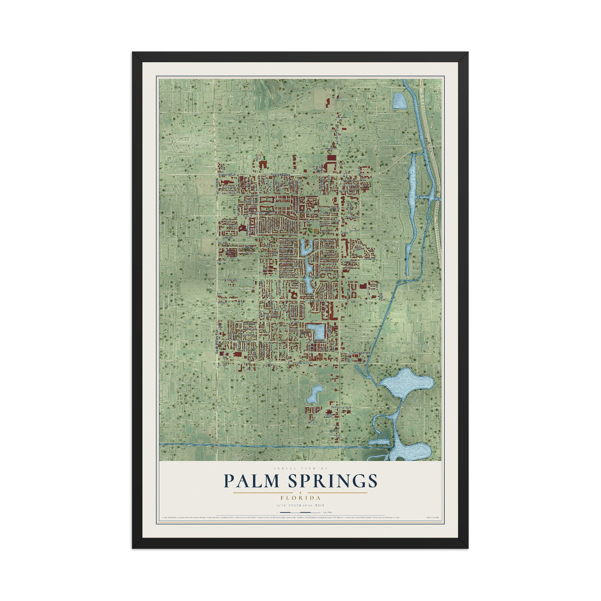 Palm Springs, Florida map print, 12" x 18" W/ Black Ayous Wood Frame mockup
