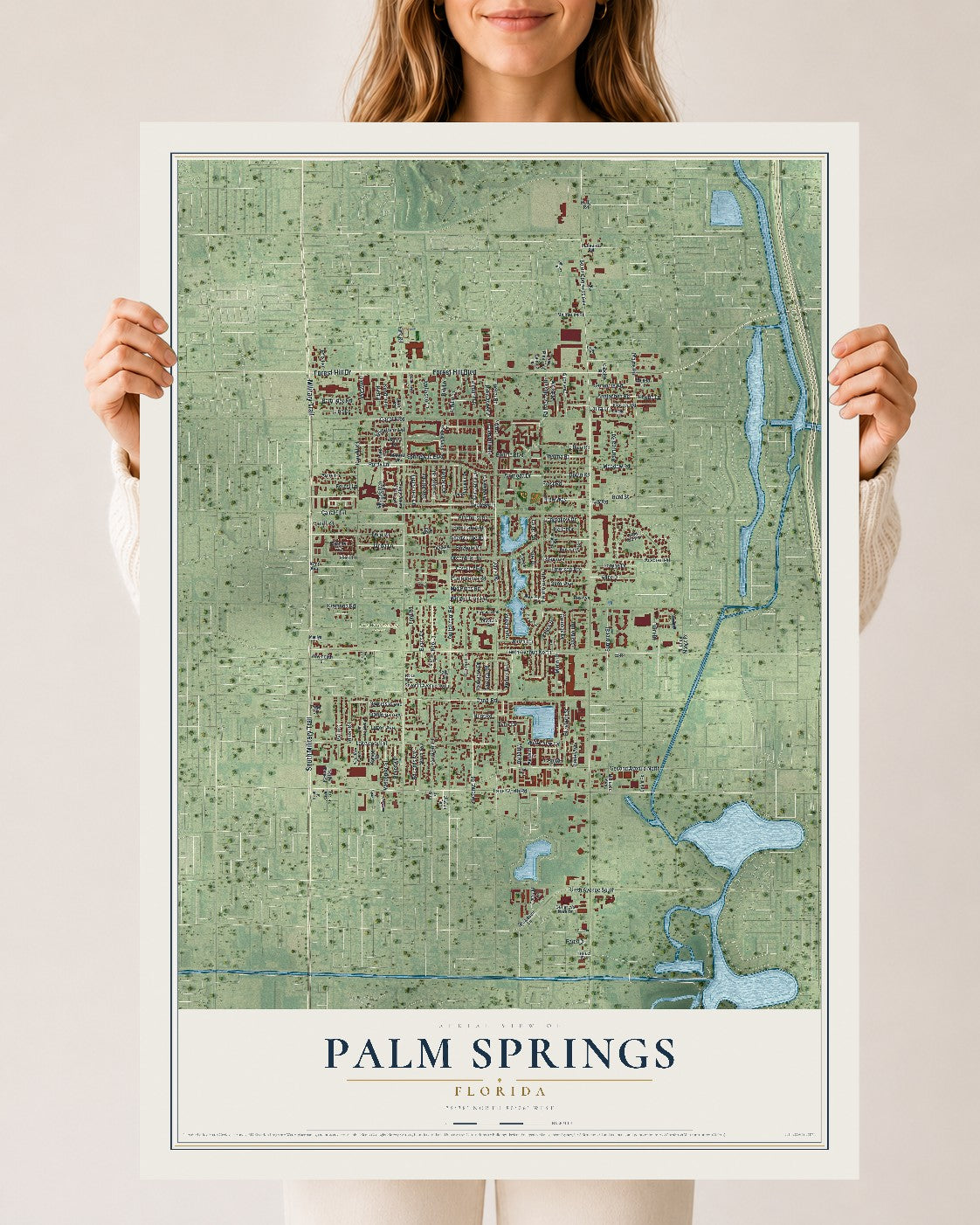 Palm Springs, Florida map print, 24" x 36" Archival Matte Print mockup