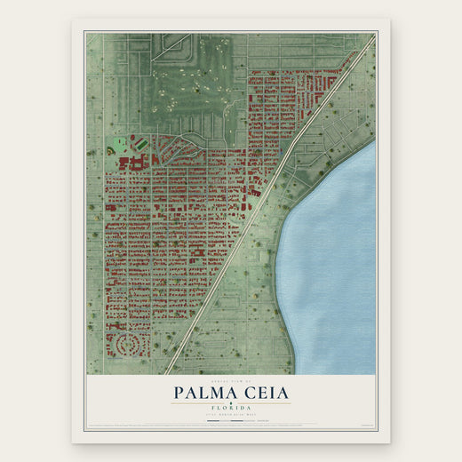 Palma Ceia, Florida map print, the full design