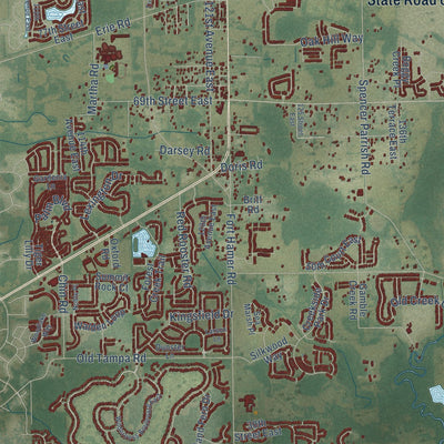 Close-up of the map of Parrish, Florida print showing street and building detail