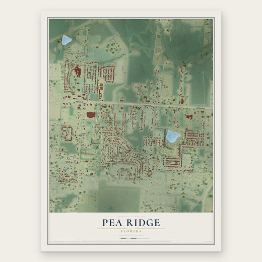 Pea Ridge, Florida map print, the full design