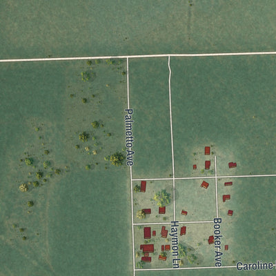 Close-up 2 of the Penney Farms, Florida map artwork
