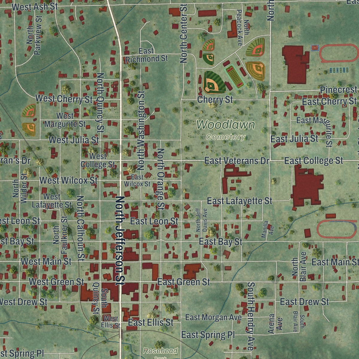 Close-up 1 of the Perry, Florida map artwork