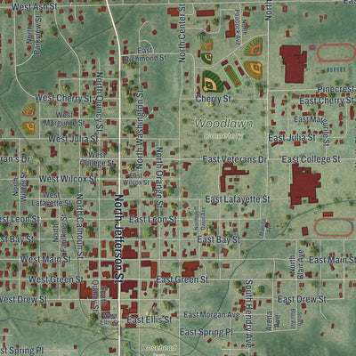 Close-up 1 of the Perry, Florida map artwork