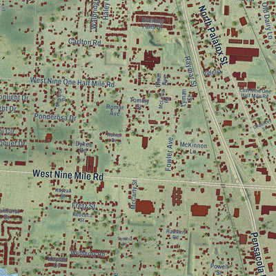 Close-up of the map of Pine Forest, Florida print showing street and building detail