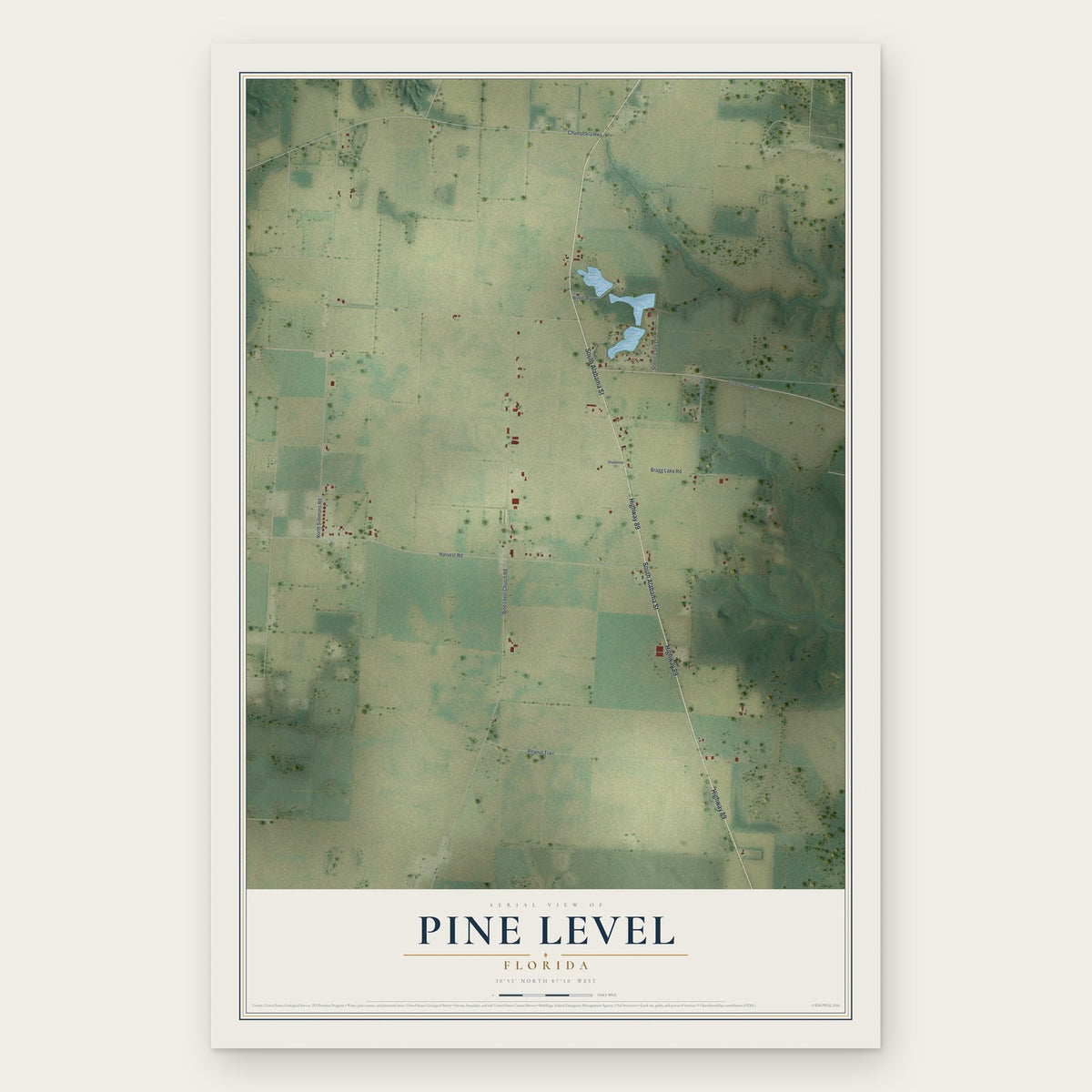 Pine Level, Florida map print, the full design