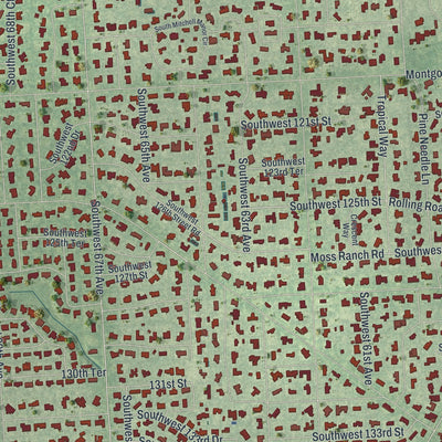 Close-up 1 of the Pinecrest, Florida map artwork