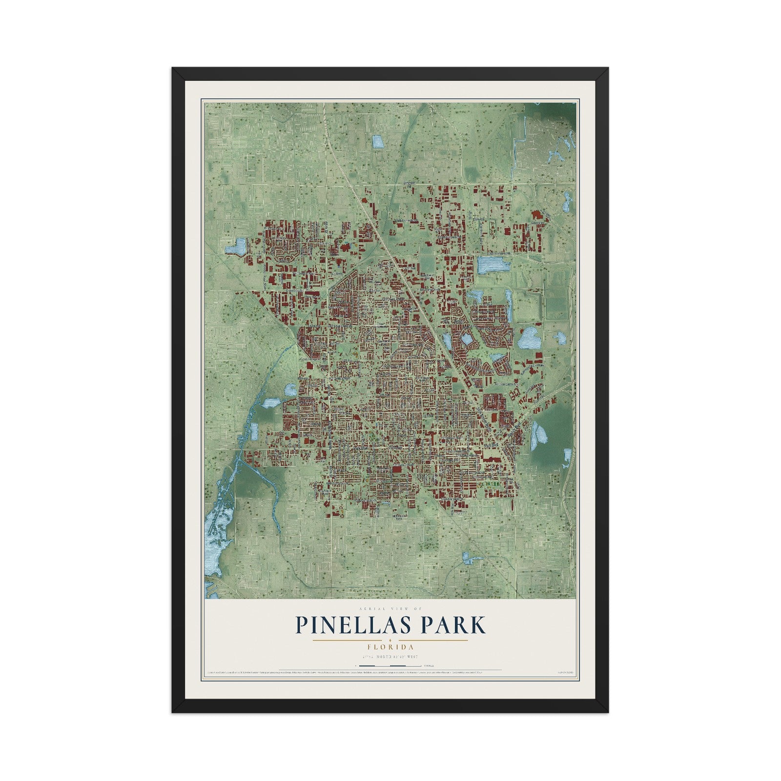Pinellas Park, Florida map print, 12" x 18" W/ Black Ayous Wood Frame mockup