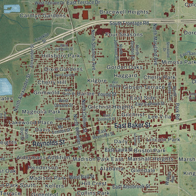 Close-up 1 of the Plant City, Florida map artwork