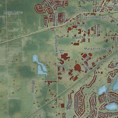 Close-up 2 of the Plant City, Florida map artwork