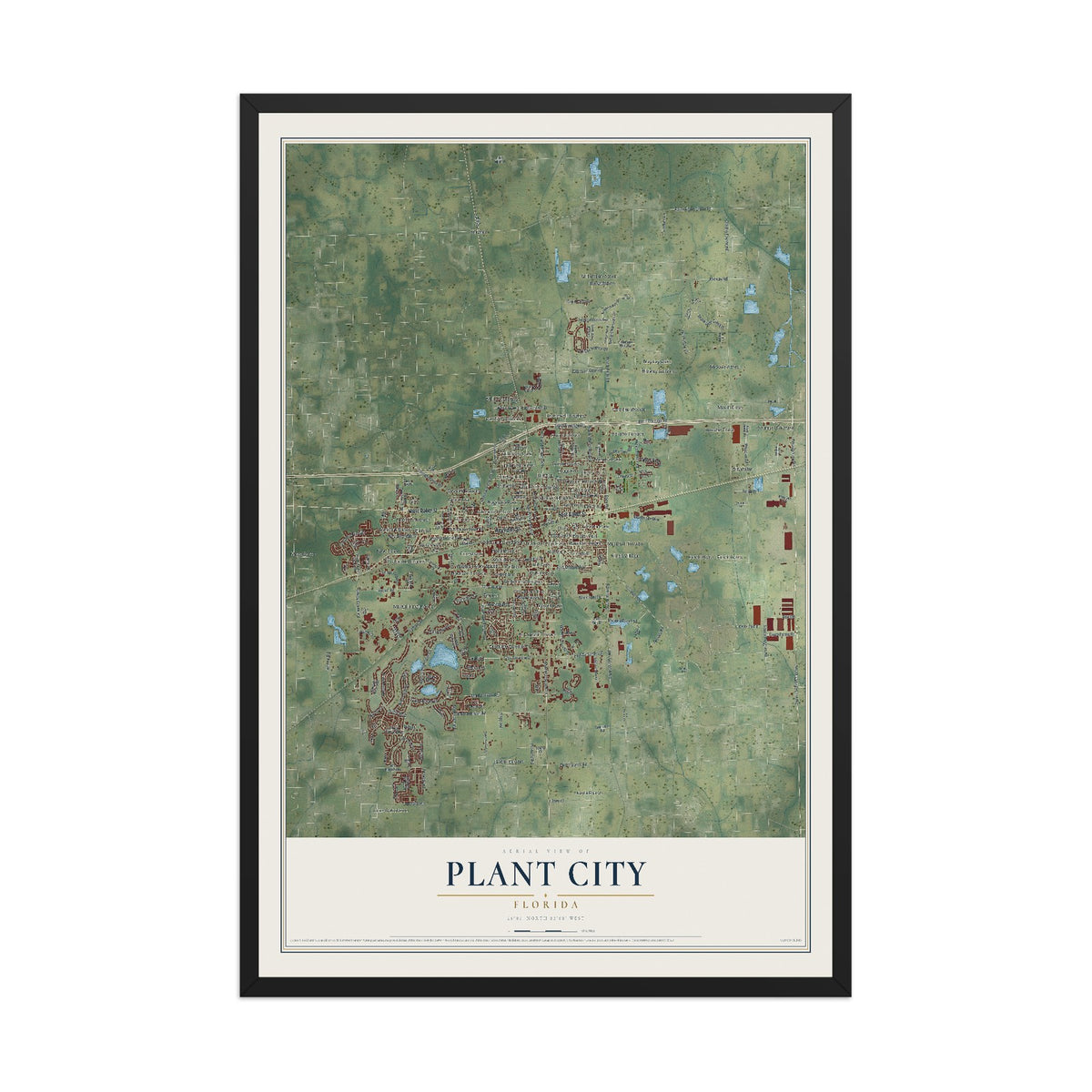 Plant City, Florida map print, 12" x 18" W/ Black Ayous Wood Frame mockup