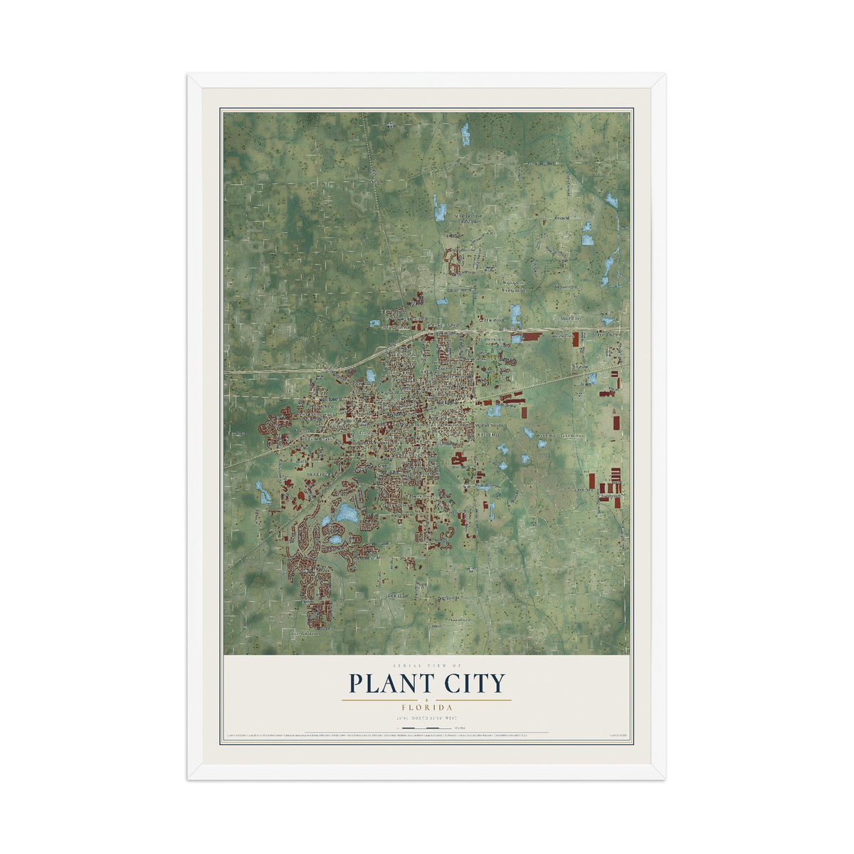 Plant City, Florida map print, 12" x 18" W/ White Ayous Wood Frame mockup