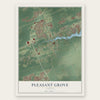 Pleasant Grove, Florida map print, the full design