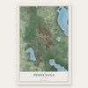 Poinciana, Florida map print, the full design