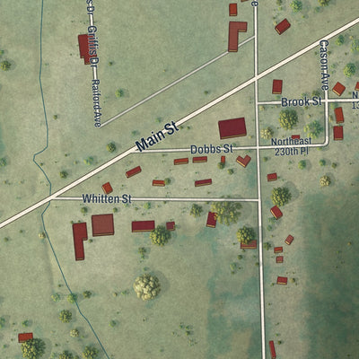 Close-up 1 of the Raiford, Florida map artwork