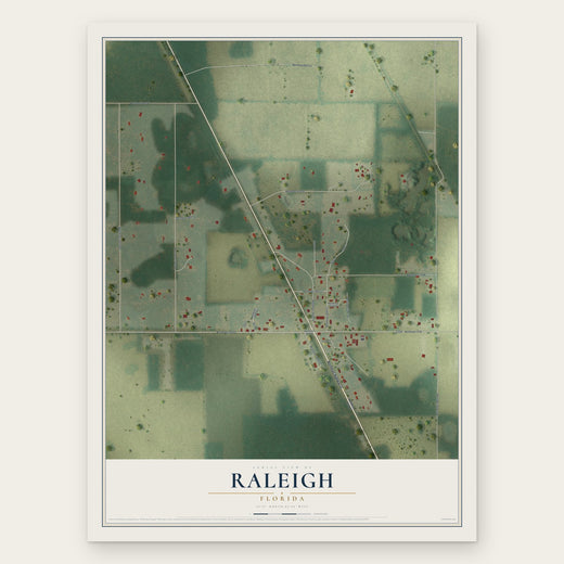 Raleigh, Florida map print, the full design