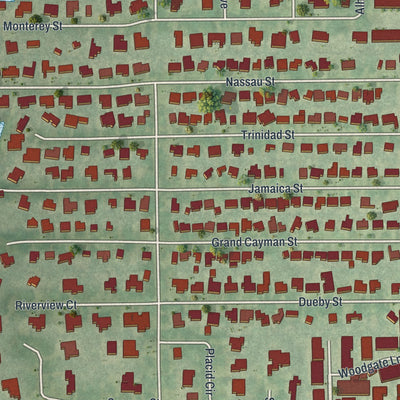 Close-up of the map of Ridge Wood Heights, Florida print showing street and building detail