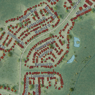 Close-up of the map of River Ridge, Florida print showing street and building detail