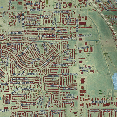Close-up 1 of the Rockledge, Florida map artwork