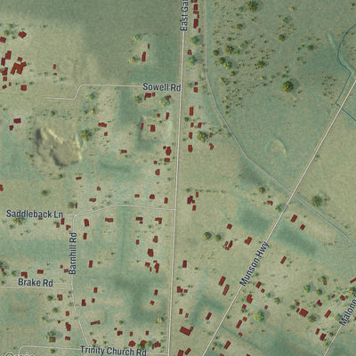 Close-up of the map of Roeville, Florida print showing street and building detail