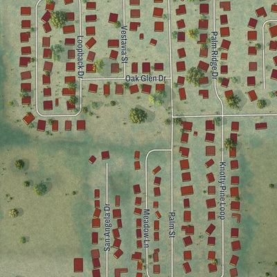 Close-up 1 of the San Antonio, Florida map artwork