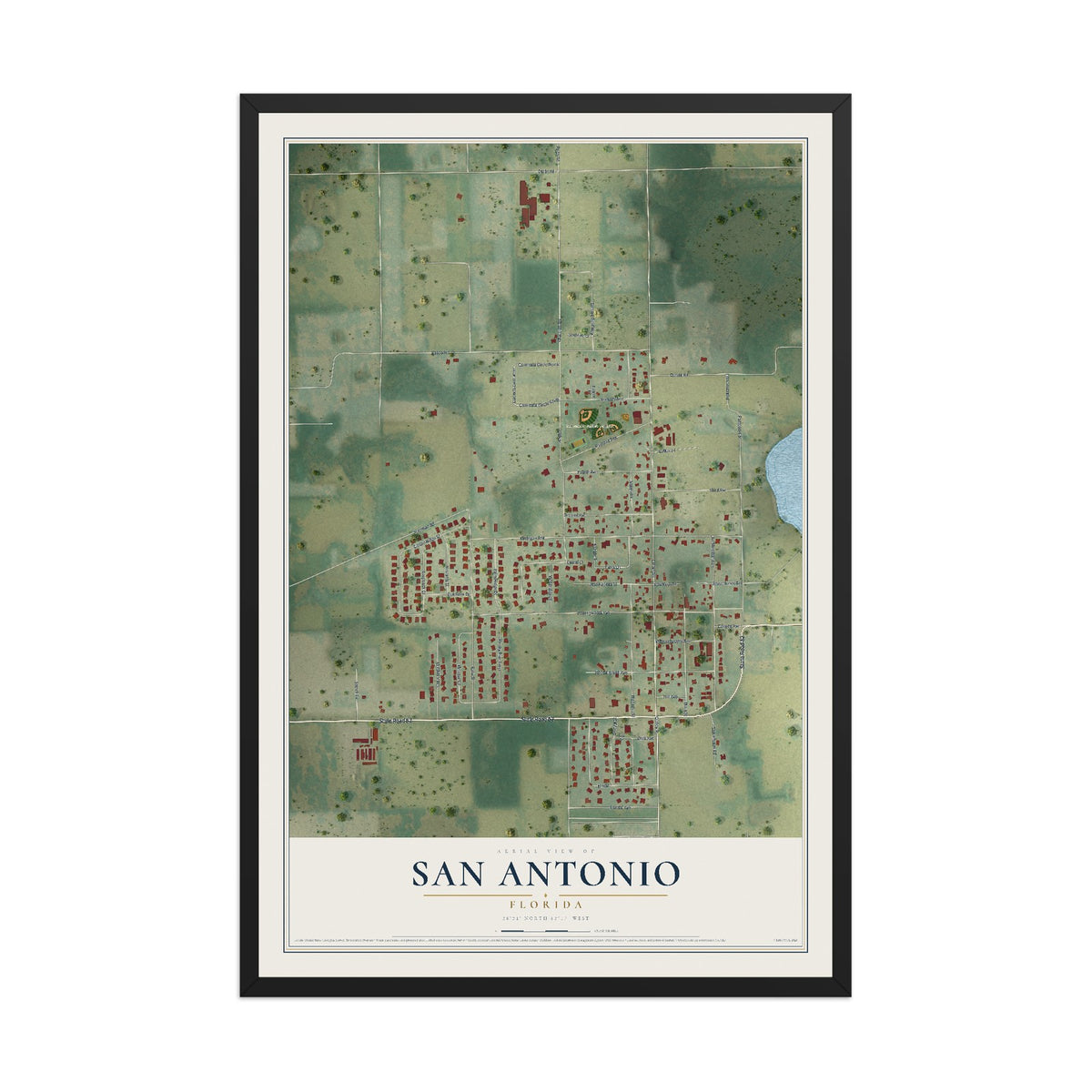 San Antonio, Florida map print, 12" x 18" W/ Black Ayous Wood Frame mockup