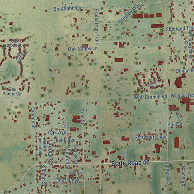 Close-up of the map of Seminole Springs, Florida print showing street and building detail
