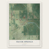 Silver Springs, Florida map print, the full design
