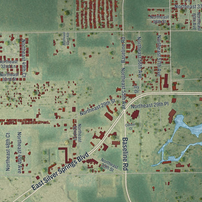 Close-up of the map of Silver Springs, Florida print showing street and building detail