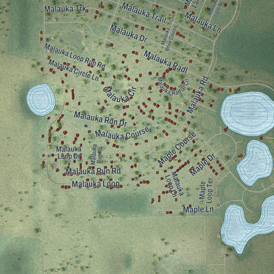 Close-up of the map of Silver Springs Shores East, Florida print showing street and building detail