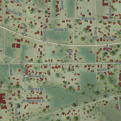 Close-up 1 of the Sneads, Florida map artwork