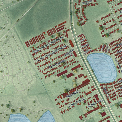 Close-up 2 of the South Daytona, Florida map artwork