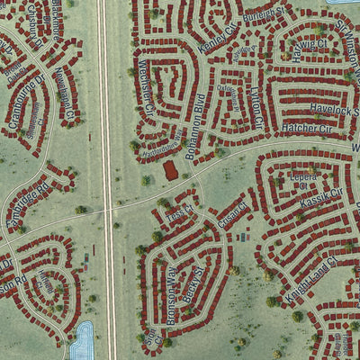 Close-up of the map of Southchase, Florida print showing street and building detail