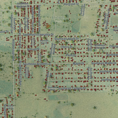 Close-up of the map of Southeast Arcadia, Florida print showing street and building detail