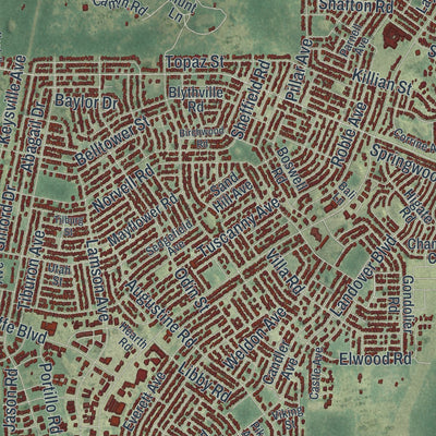 Close-up 2 of the Spring Hill, Florida map artwork