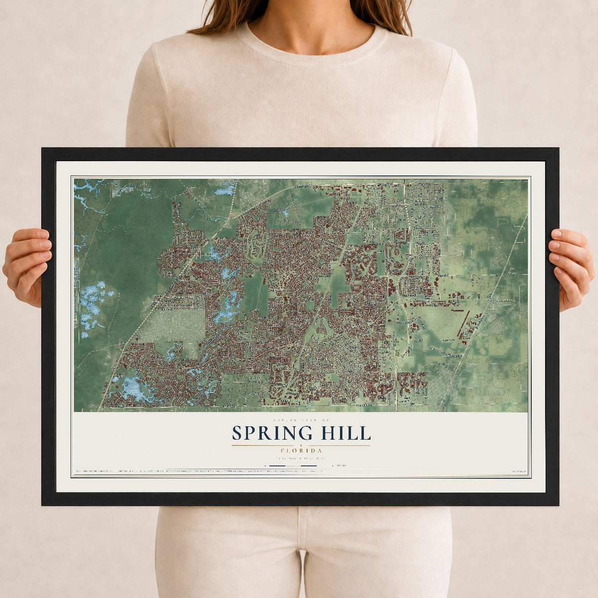 Spring Hill, Florida map print, 12" x 18" W/ Black Ayous Wood Frame mockup