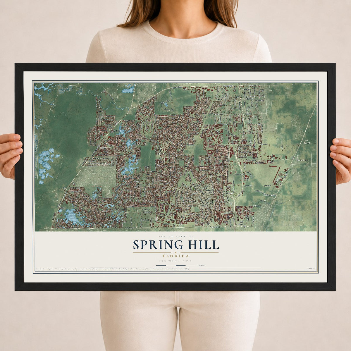 Spring Hill, Florida map print, 18" x 24" W/ Black Ayous Wood Frame mockup