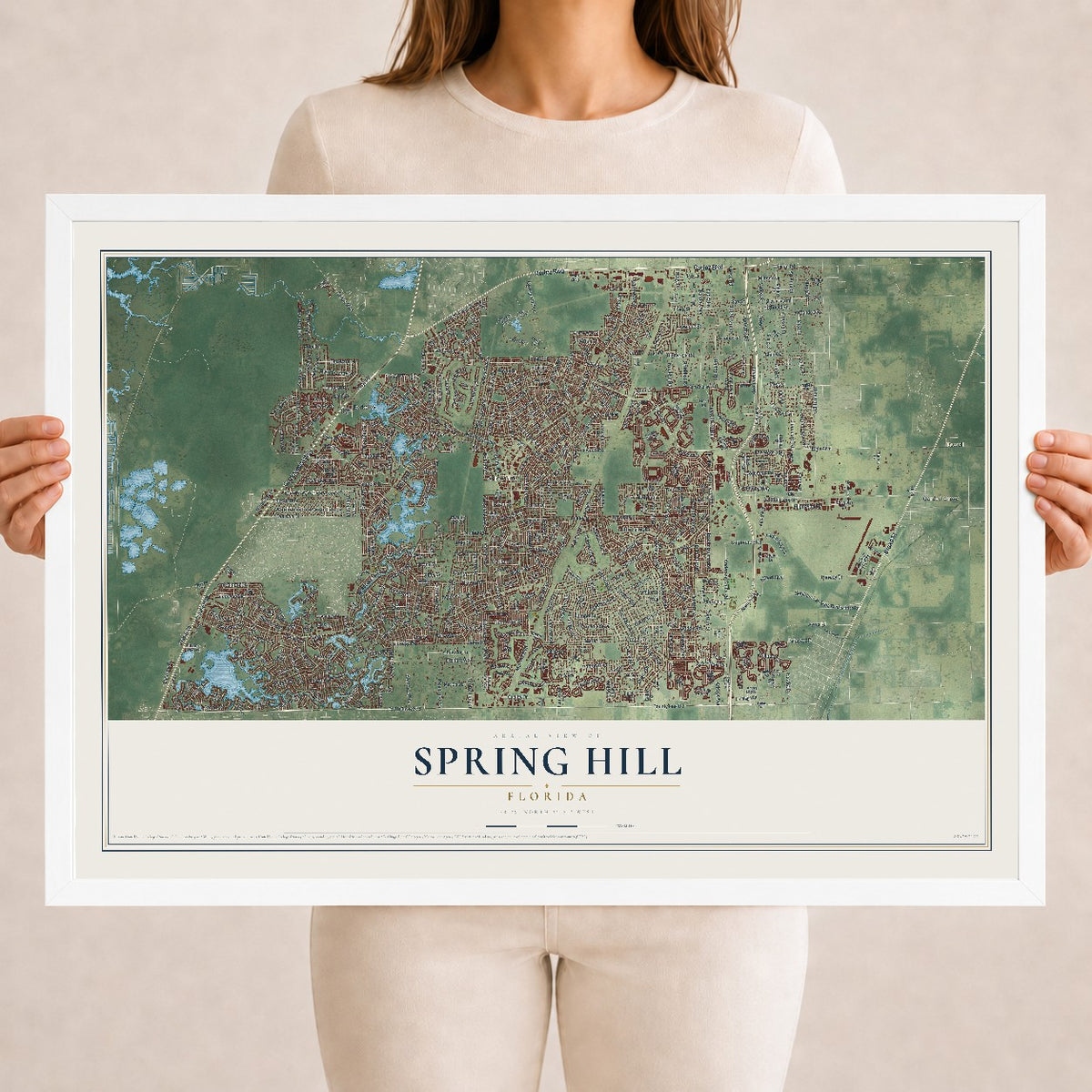 Spring Hill, Florida map print, 18" x 24" W/ White Ayous Wood Frame mockup