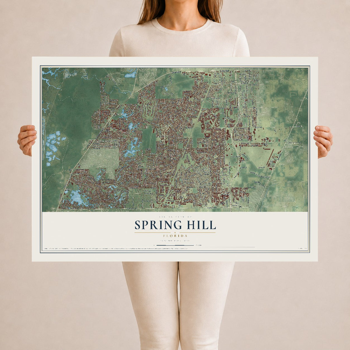 Spring Hill, Florida map print, 24" x 36" Archival Matte Print mockup