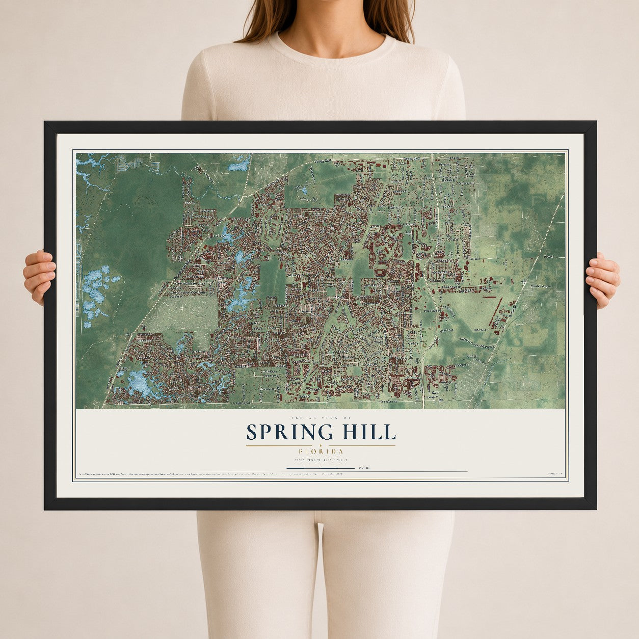 Spring Hill, Florida map print, 24" x 36" W/ Black Ayous Wood Frame mockup