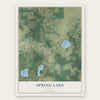 Spring Lake, Florida map print, the full design