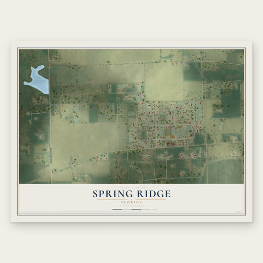 Spring Ridge, Florida map print, the full design