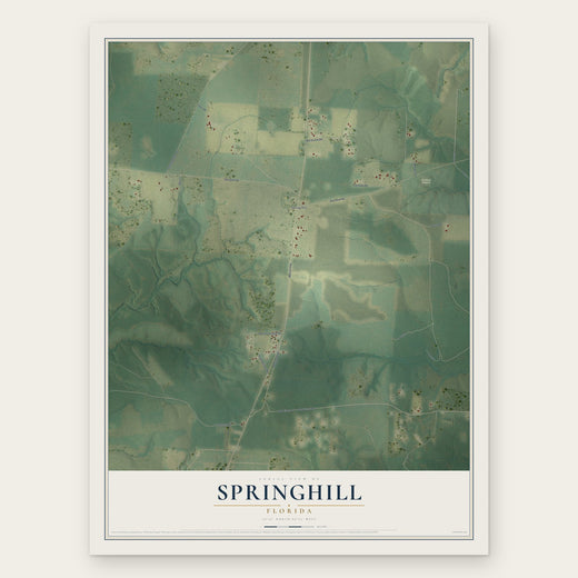 Springhill, Florida map print, the full design