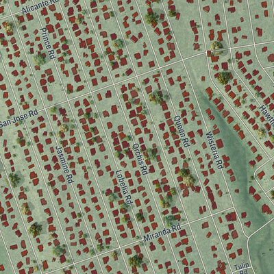 Close-up of the map of St. Augustine South, Florida print showing street and building detail