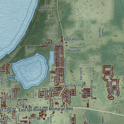 Close-up 2 of the St. Cloud, Florida map artwork
